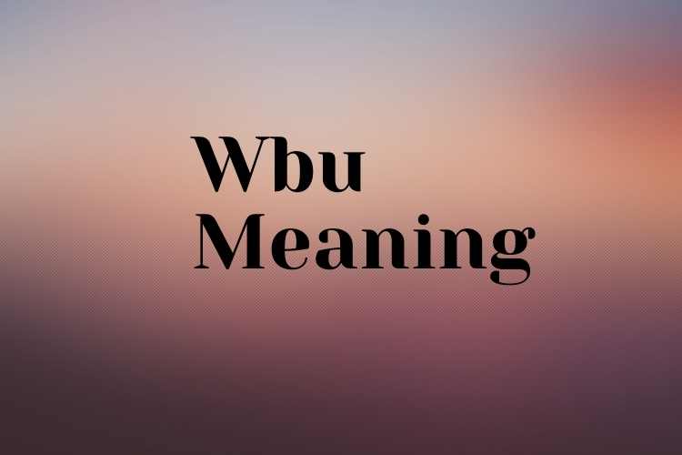 Wbu Meaning And Wbu Full Form In Chat - BlogNewsMart - Business & News Blog